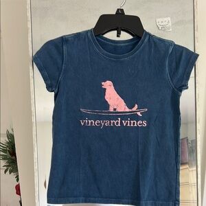 Vineyard Vines Blue and Pink Short Sleeve Tee
